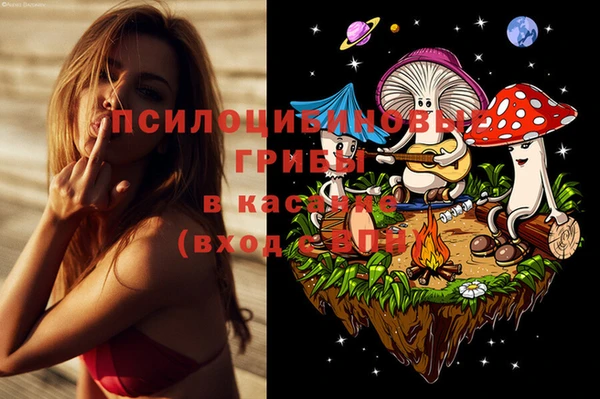 apvp Бронницы