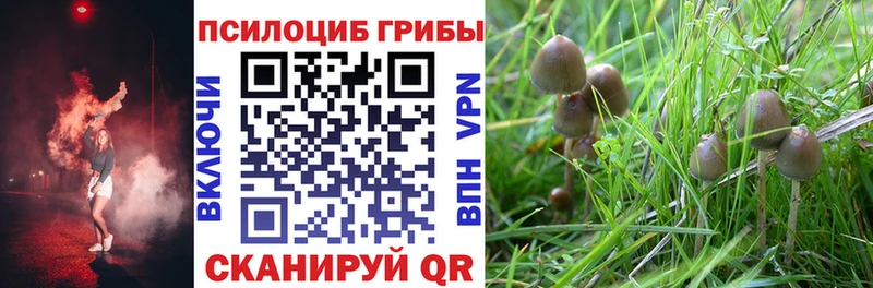Галлюциногенные грибы ЛСД  блэк спрут маркетплейс  Бердск  наркотики 